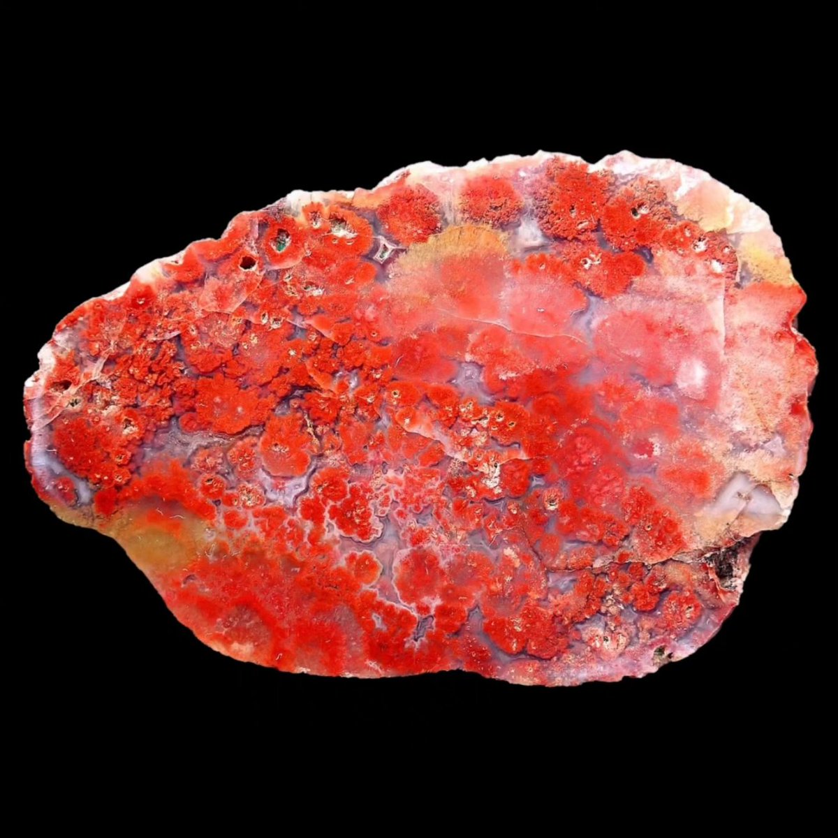 Lunan Bay plume agate 46mm/34mm, 47mm/31mm