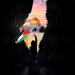 Photo by محمد سبحي (@mb1429)