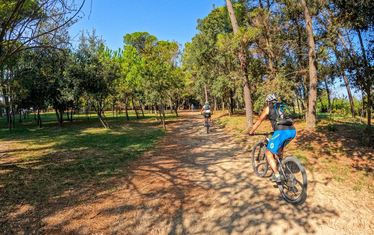 naturabruzzo's tweet photo. Rimini - Ravenna cicloescursionismo #emiliaromagna #adventure #italy #italia #travel #mountains #nature #natura #geology #geologia #escursione #escursionenatura #bike #cicloturismo #bici #rimini #ravenna #visitravenna https://t.co/VNpSUfHBat