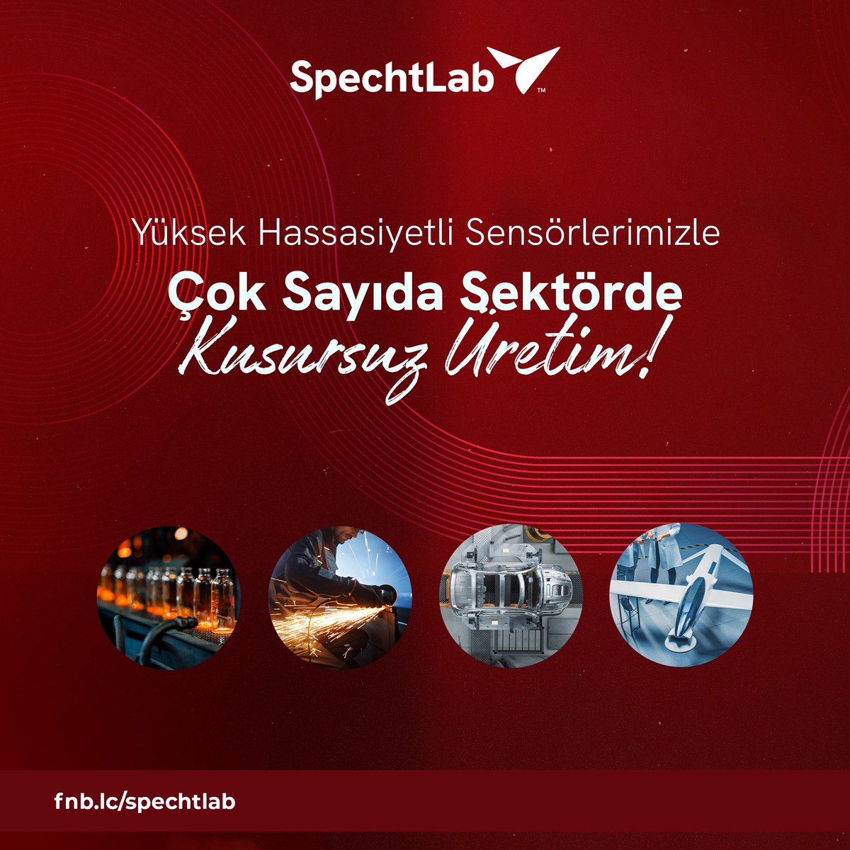 SpechtLab tweet media