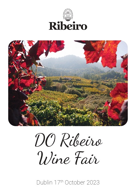 Bestofspainwine's tweet photo. 12 🔝 @CRDO_Ribeiro ambassadors for showing #Dublin wine trade&amp;press the singularity and personality of their wines.
Don't miss the opportunity next 17/10 of enjoying an exciting masterclass directed by @Wilsononwine and afterwards a show-room with these wineries and their wines https://t.co/9O3IuM3kzD