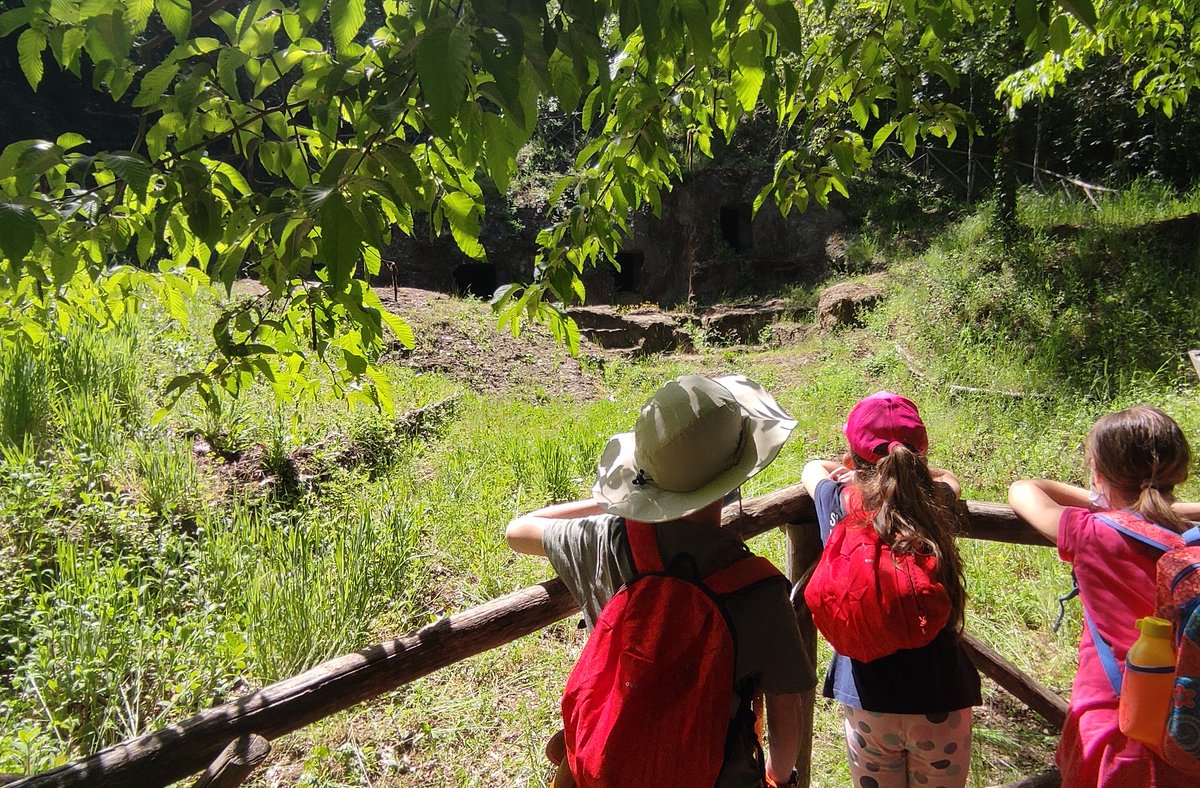 Visite guidate lungo la valle del fiume Treja: 14 e 15 ottobre trekking tra natura e archeologia Foto Alchimia <a href="/ParcoTreja/">ParcoValledelTreja</a> shorturl.at/bgDI4