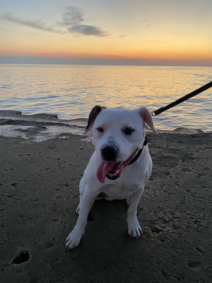 chellerbell's tweet image. P and I are literally gonna be so chic for our trip I’m now more excited