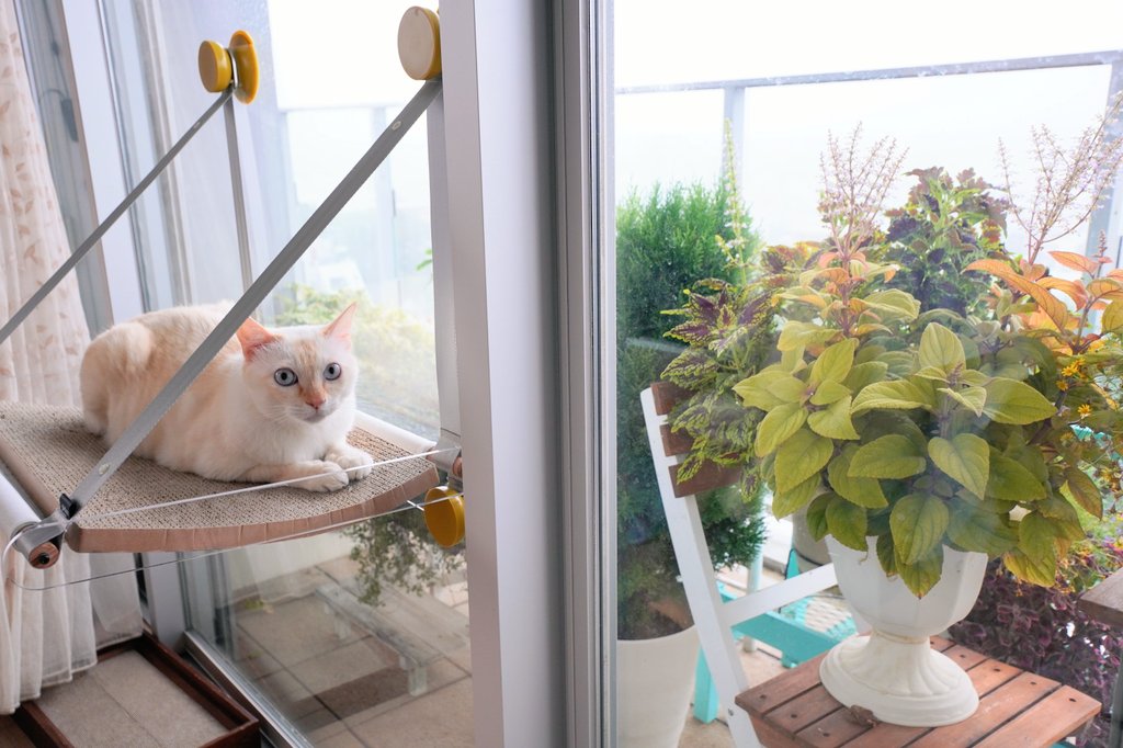 チャコたんも秋の気配を満喫中🍁