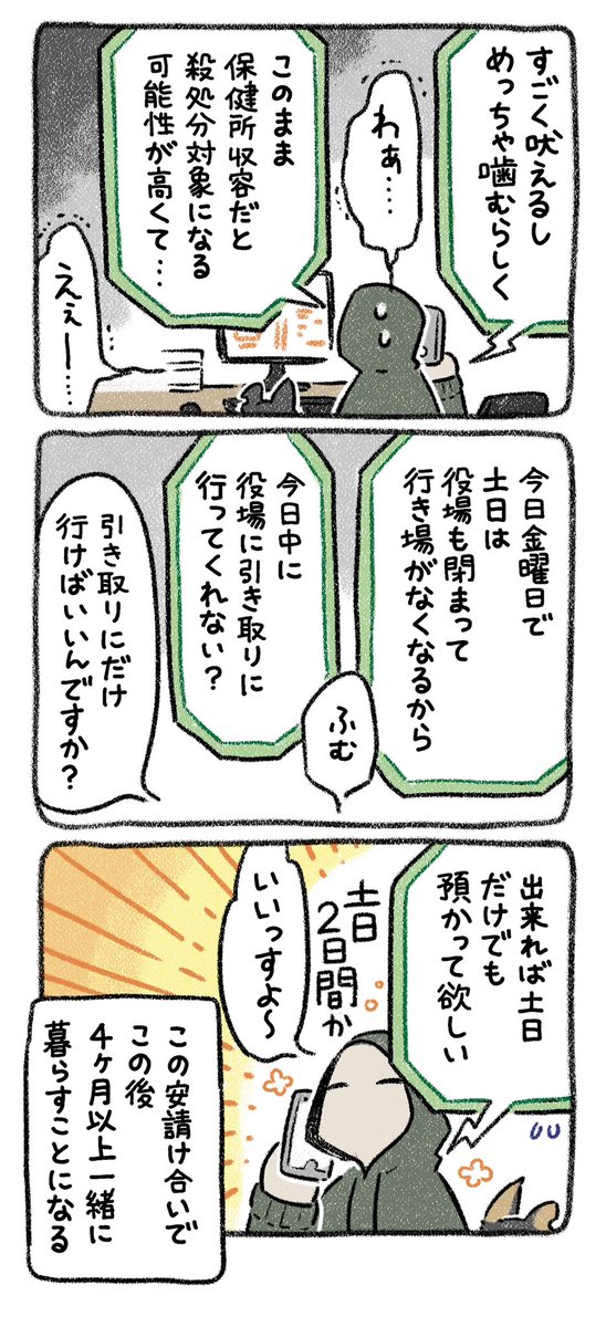 保護犬茶々のお話【第1話】
(1/2)
#漫画が読めるハッシュタグ 