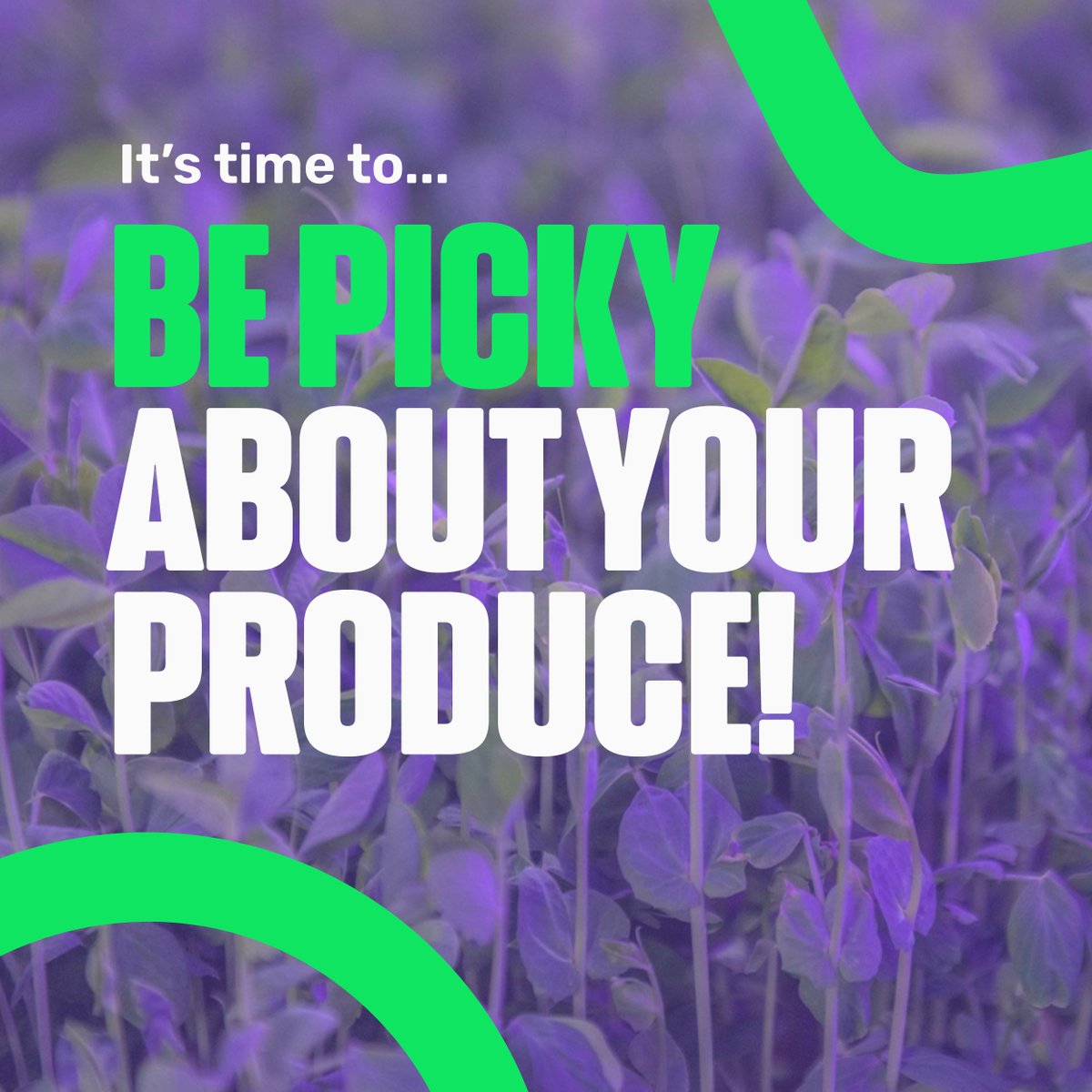 Perfectly Fresh Official tweet media