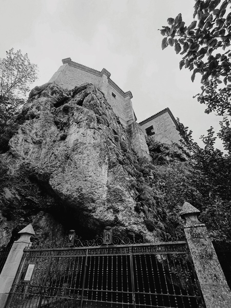 CP, fotoaficionado. tweet media