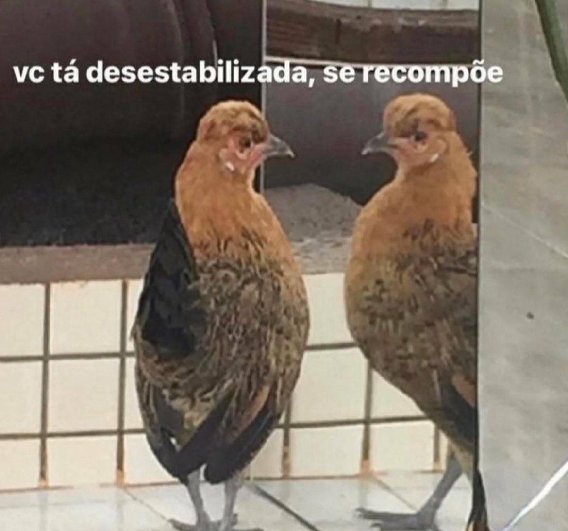 matheus's tweet photo. segunda-feira https://t.co/PP4ybpeEco