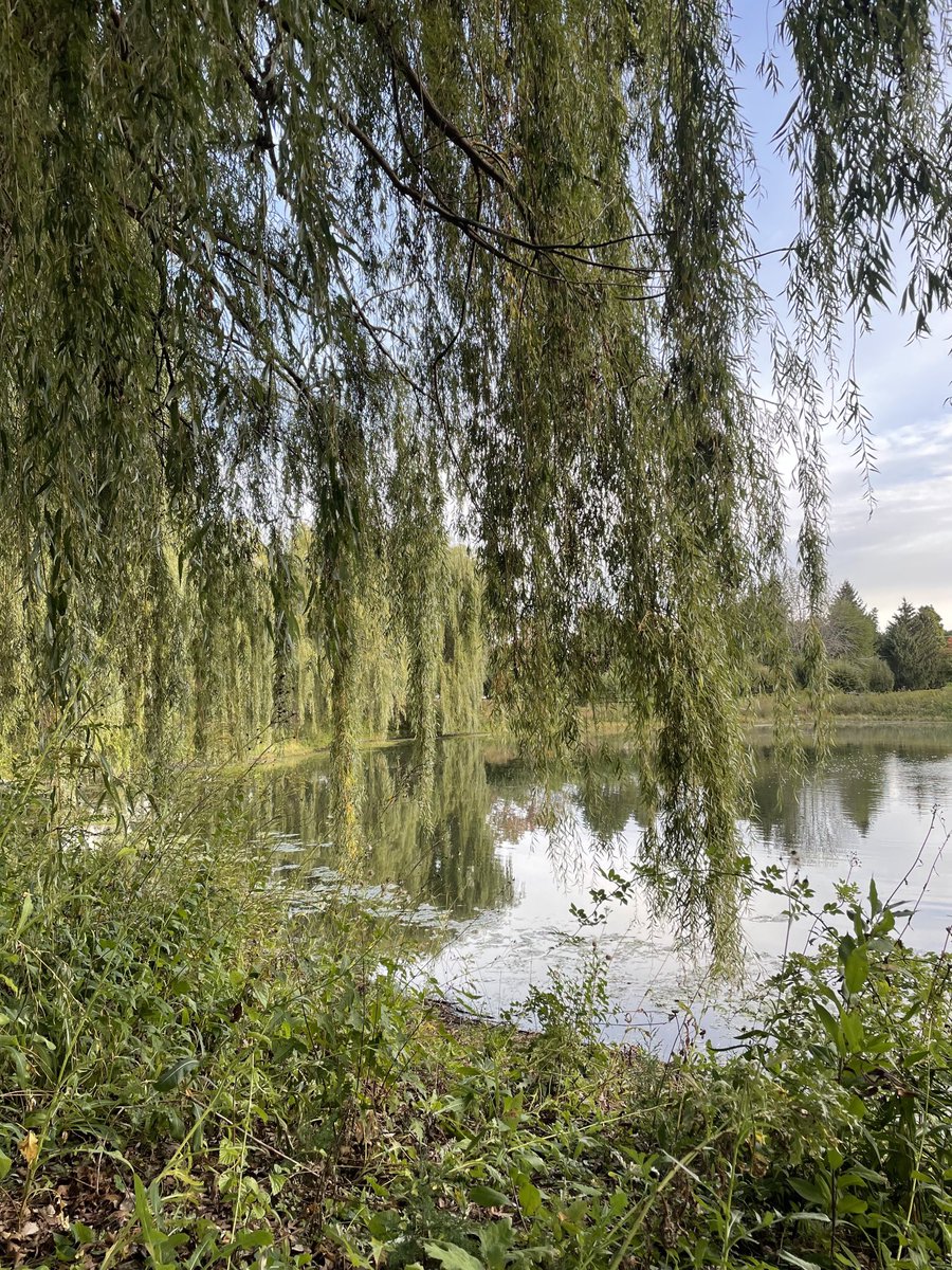 “Do not be dismayed by the brokenness of the world. And all things can be mended. Not with time, as they say, but with intention. So go. Love intentionally, extravagantly, unconditionally. The broken world waits in darkness for the light that is you.” L.R. Knost #mondaymotivation