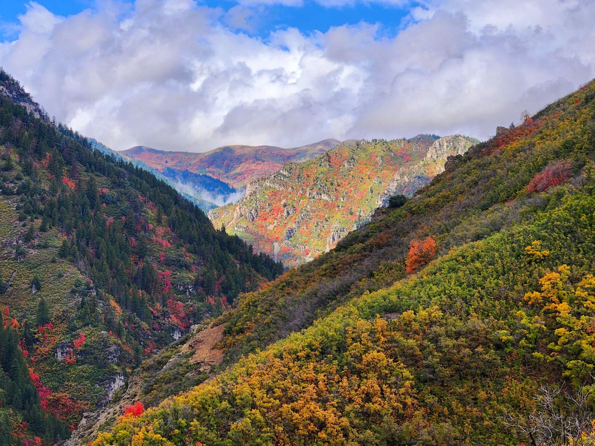 KUTV2News's tweet photo. These Utah mountains are flashing every color of the rainbow this fall season😍

📍: Wheeler Creek in Weber County, Utah
📸: Christopher Crockett via https://t.co/rfXQN8Df2K https://t.co/ssxDJb1ebI