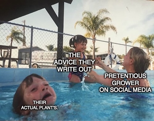 PushnPhosphorus's tweet photo. #Mememonday https://t.co/7YFnf4iFxS