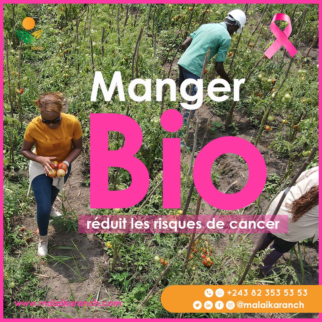 MalaikaRanch's tweet photo. Pour prévenir du cancer, veillons sur notre alimentation.
Privilégiez une alimentation équilibrée avec des légumes et fruits issu d’une agriculture locale et éco-responsable comme @MalaikaRanch 

Octobre, mois de la sensibilisation contre le cancer du sein. https://t.co/yDJmlfTdPF