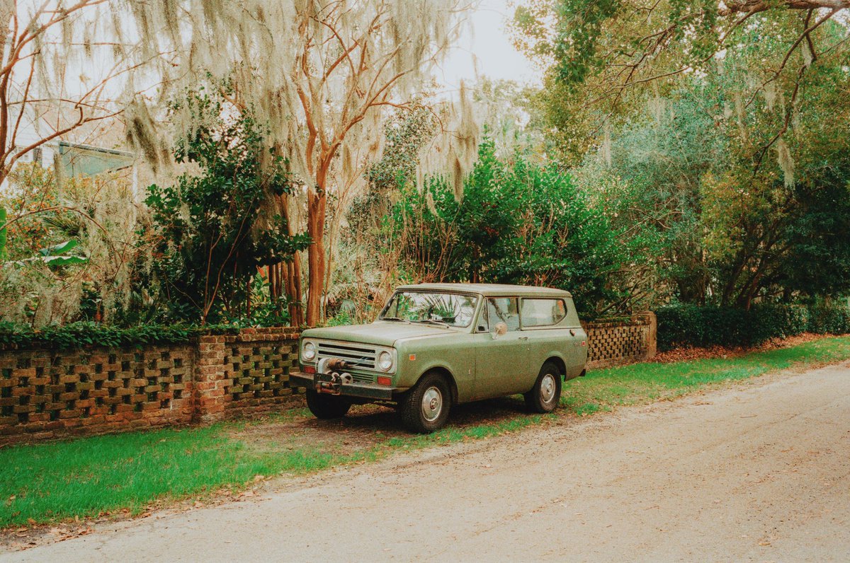 NotKelseySmith's tweet photo. Shades of green on film https://t.co/EugHV83Pv8