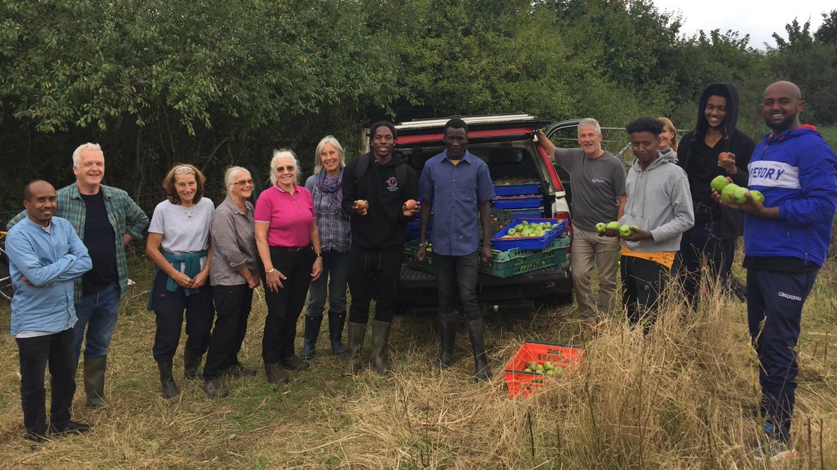HerefordshireWT's tweet photo. What a brilliant day harvesting our orchard at #LuggMeadows with #HerefordshireFoodAlliance last Friday! This is a wonderful traditional orchard with enough fruit to share with families across #Herefordshire - as well as support wildlife over the autumn ๐๐๐ https://t.co/NPBqR4al4p