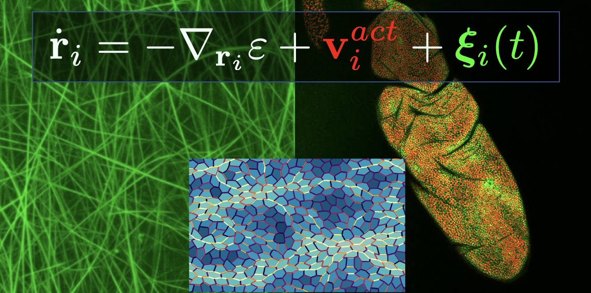 Isaac Newton Institute tweet media