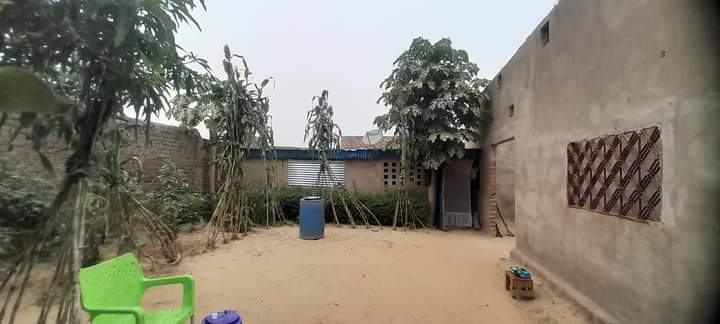 Poulaecommerce's tweet photo. VILLA À VENDRE À N'DJAMENA 
Côté UBA Gassi, Rue CSP 16
Prix : 55 millions FCFA négociable
Superficie : 504m²
La villa contient  plusieurs chambres, salons ,Douches internes et externes, cuisines.
Tél : 66938240
WhatsApp :+235 93 46 9905 https://t.co/0LvChat2Rn