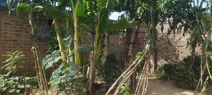 Poulaecommerce's tweet photo. VILLA À VENDRE À N'DJAMENA 
Côté UBA Gassi, Rue CSP 16
Prix : 55 millions FCFA négociable
Superficie : 504m²
La villa contient  plusieurs chambres, salons ,Douches internes et externes, cuisines.
Tél : 66938240
WhatsApp :+235 93 46 9905 https://t.co/0LvChat2Rn