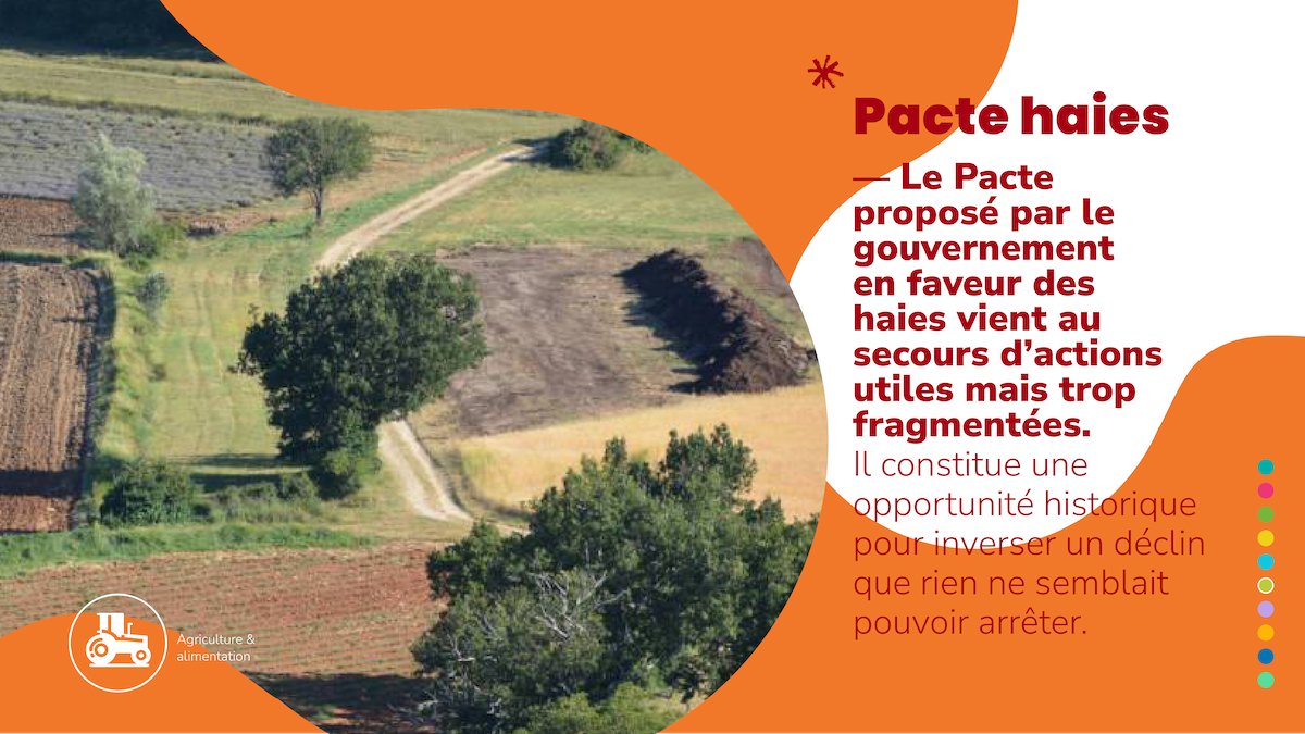 🌳 Les #haies sont un enjeu majeur dans la reconquête de la #biodiversité. Les Parcs naturels régionaux demeurent mobilisés pour mettre en œuvre le Pacte haies proposé par le gouvernement et intégrer les haies dans des projets partagés de territoire. ➡️ bit.ly/CPPactehaies