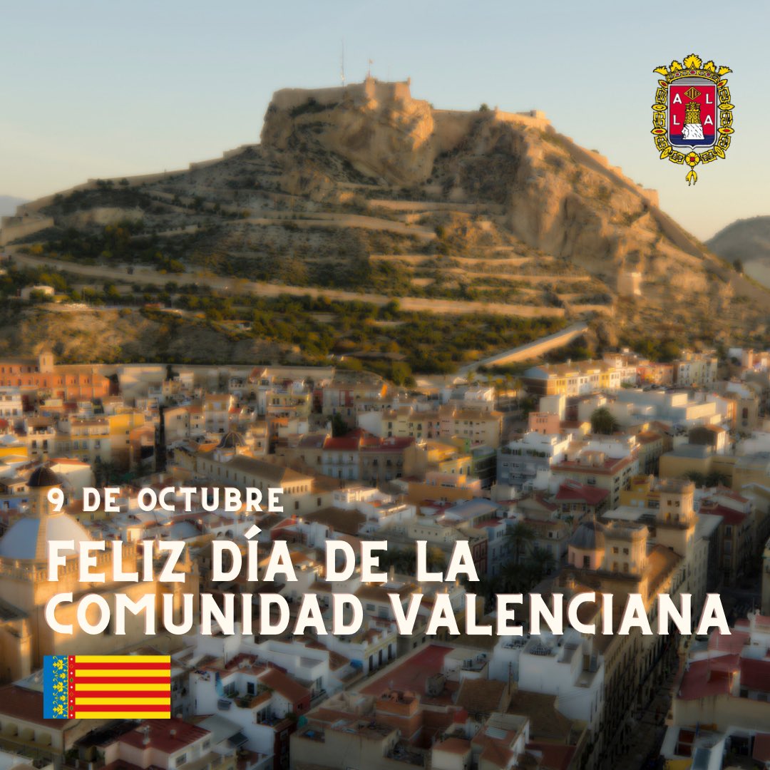 Ayuntamiento Alicante tweet media