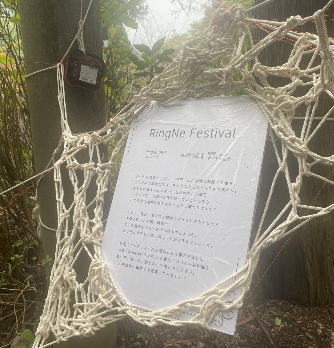protein3333's tweet photo. 昨日は@freaerf さんの所属するExportionが出演されるという事でRingNeフェスティバルへ!🌿
久々のフェス、ちょっと飲み過ぎて池に片足落ちたりしたけど、滝に打たれた後だったので無問題w☺️👍
楽しかったぁぁぁ!!
#RingNe
#Exportion https://t.co/0NljU1eqsn