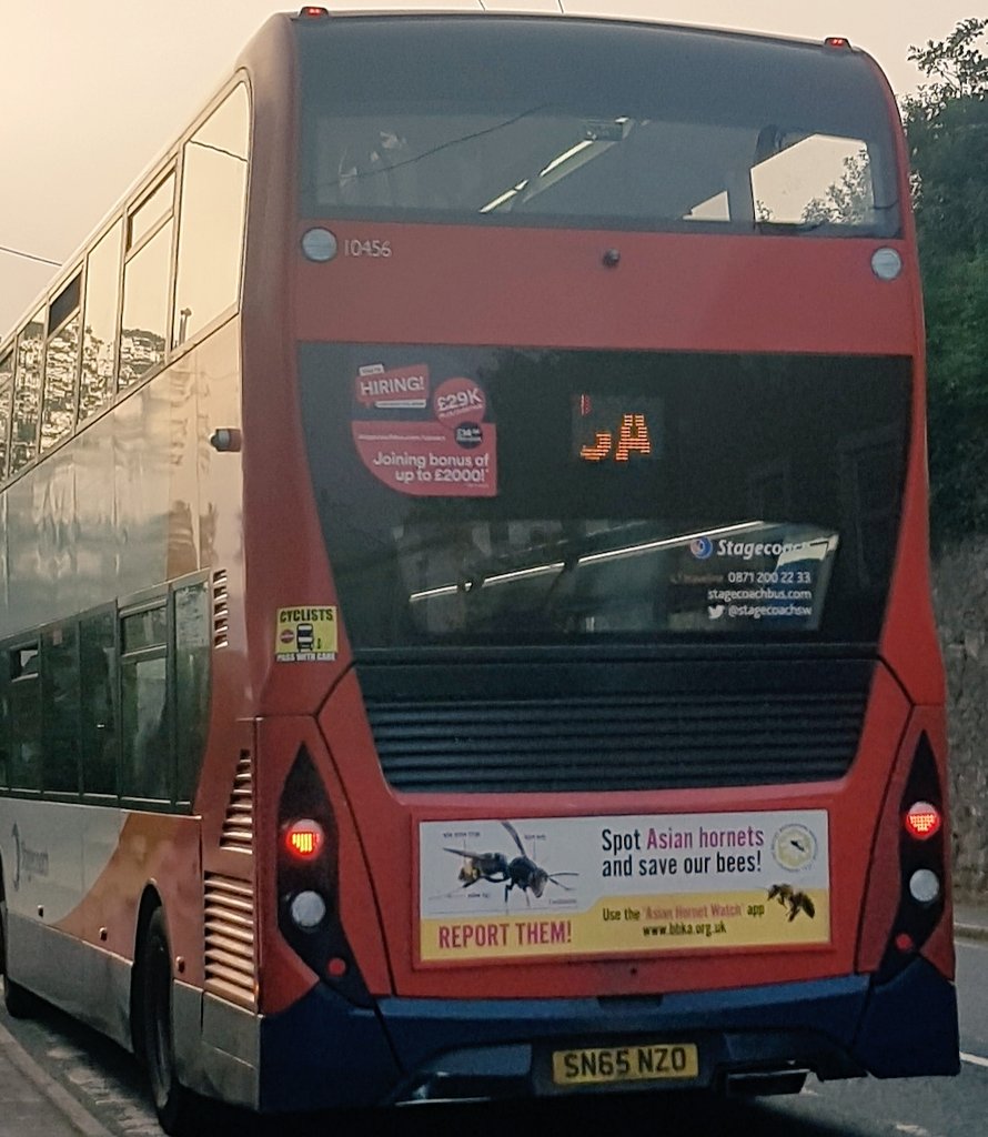 One of the BBKA's public information posters on a bus in Crediton, Devon. Part of the ongoing campaign to raise awareness.

Photo courtesy of Simon O'Sullivan