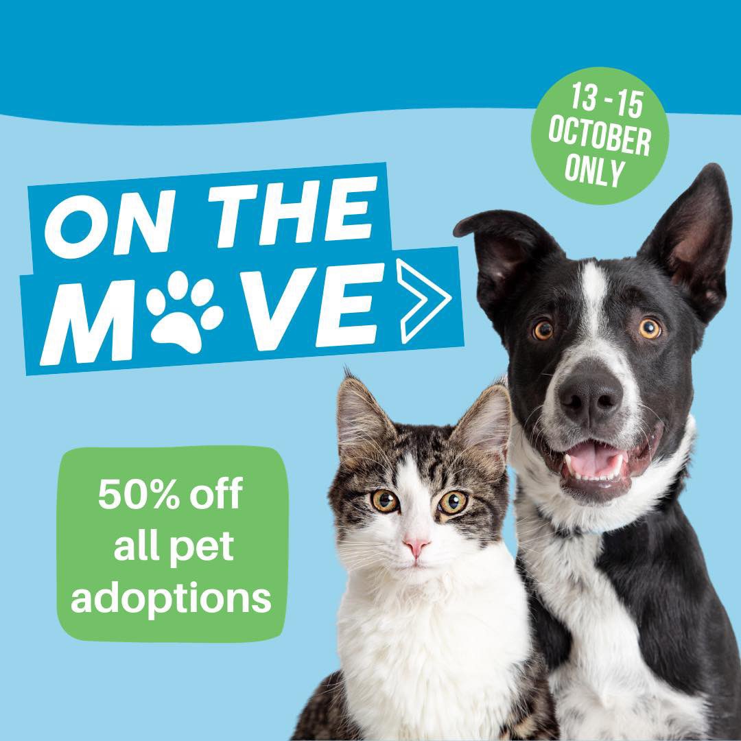 RSPCA SouthAustralia tweet media