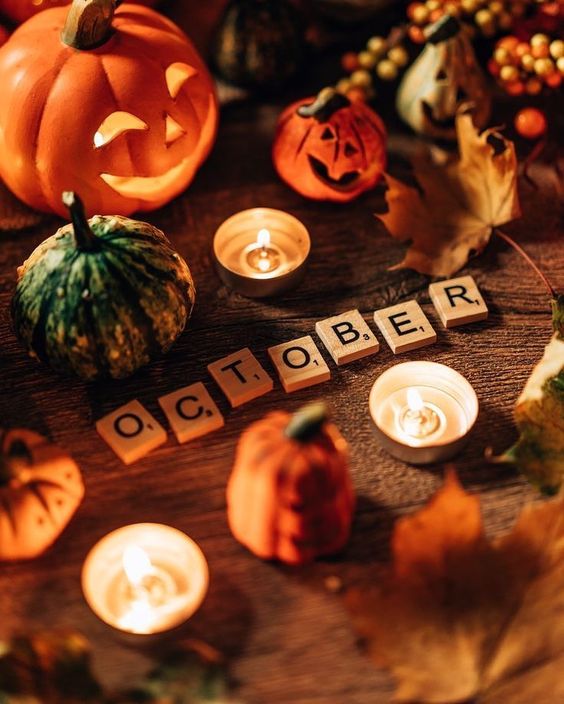 NosCalanGaeaf's tweet photo. 4 DAYS UNTIL HALLOWEEN!
ARE YOU READY???
🎃🍂🎃🍂🎃🍂🎃🍂🎃
#Halloween https://t.co/fy0Ulbtf9j