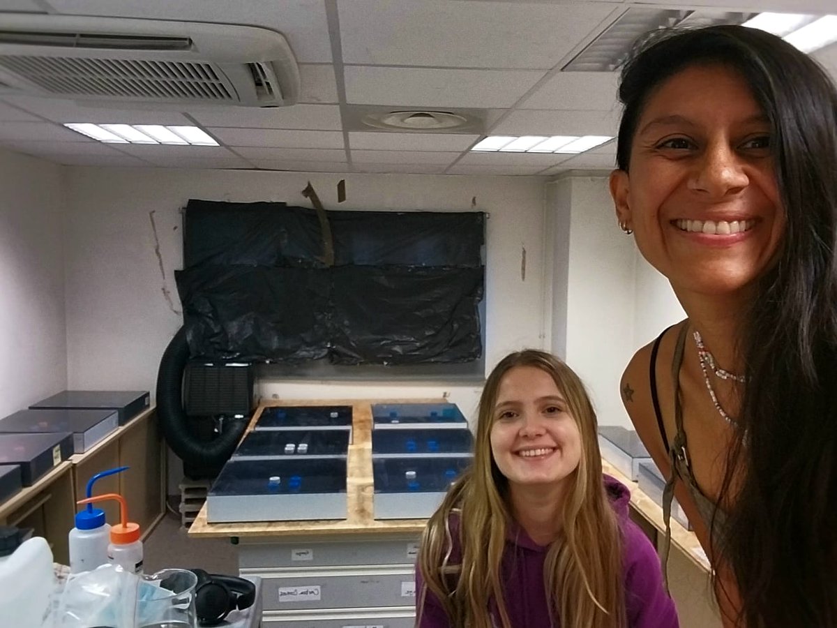 Karolina Argote tweet media