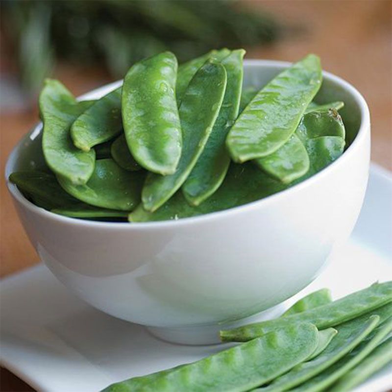 FutureGardenLtd's tweet photo. 🌱 Discover the Fastest Maturing broad beans with Thompson &amp; Morgan Express Broad Bean Seeds! 🌱 Express Broad Beans can be sown outdoors from early autumn time to late Winter. They’re a speedy solution to your garden-to-table cravings.

https://t.co/XXf8eWW8ur https://t.co/PhQC9tZkrc