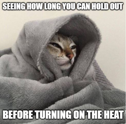 HVACR_Live's tweet photo. Happy Monday everyone! The mornings are starting to feel a tad more crisp ❄️ https://t.co/a5huKIJRpI