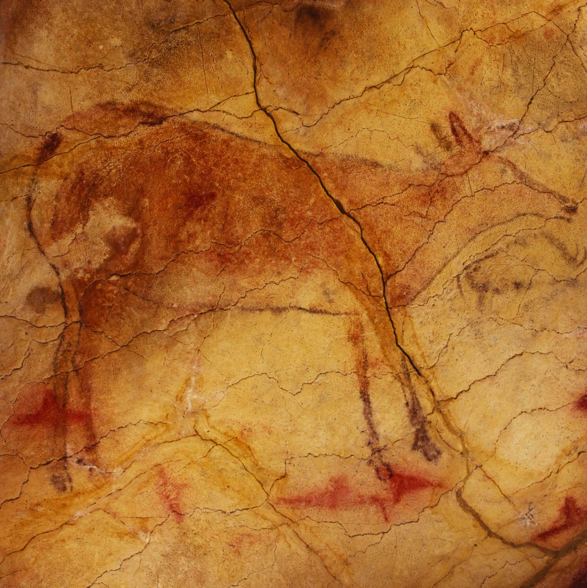 Hoy es el #DíaEuropeoDelArteRupestre y ¿sabías que la máxima representación del espíritu creador humano está en #cuevadeAltamira ⁉️
Todo se logra con #ActitudyAcción, lema de <a href="/juanitaacevedo/">Juanita Acevedo</a>  
Visita pronto <a href="/museodealtamira/">Museo de Altamira</a> ‼️💎