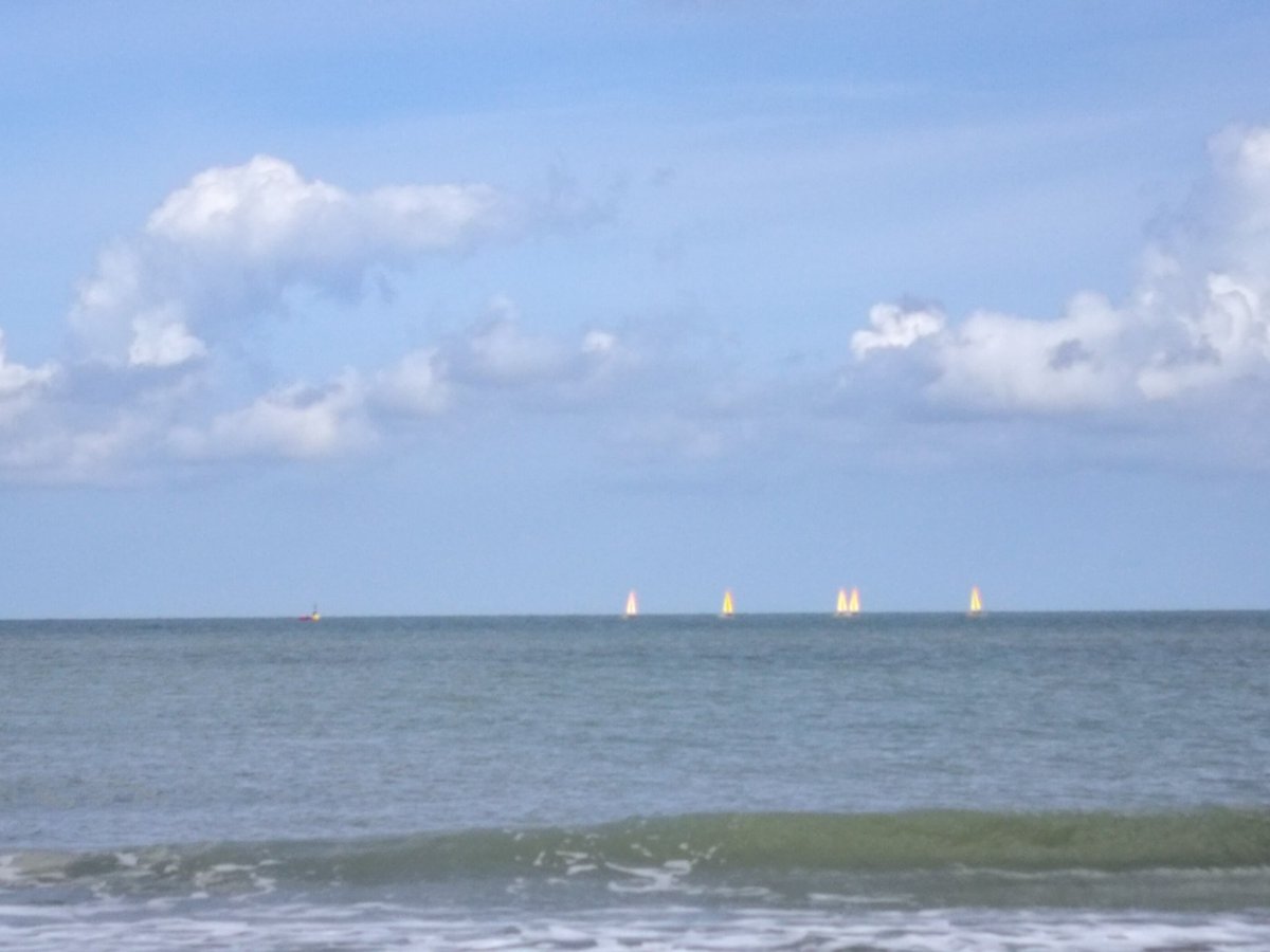 remembermyhat tweet media