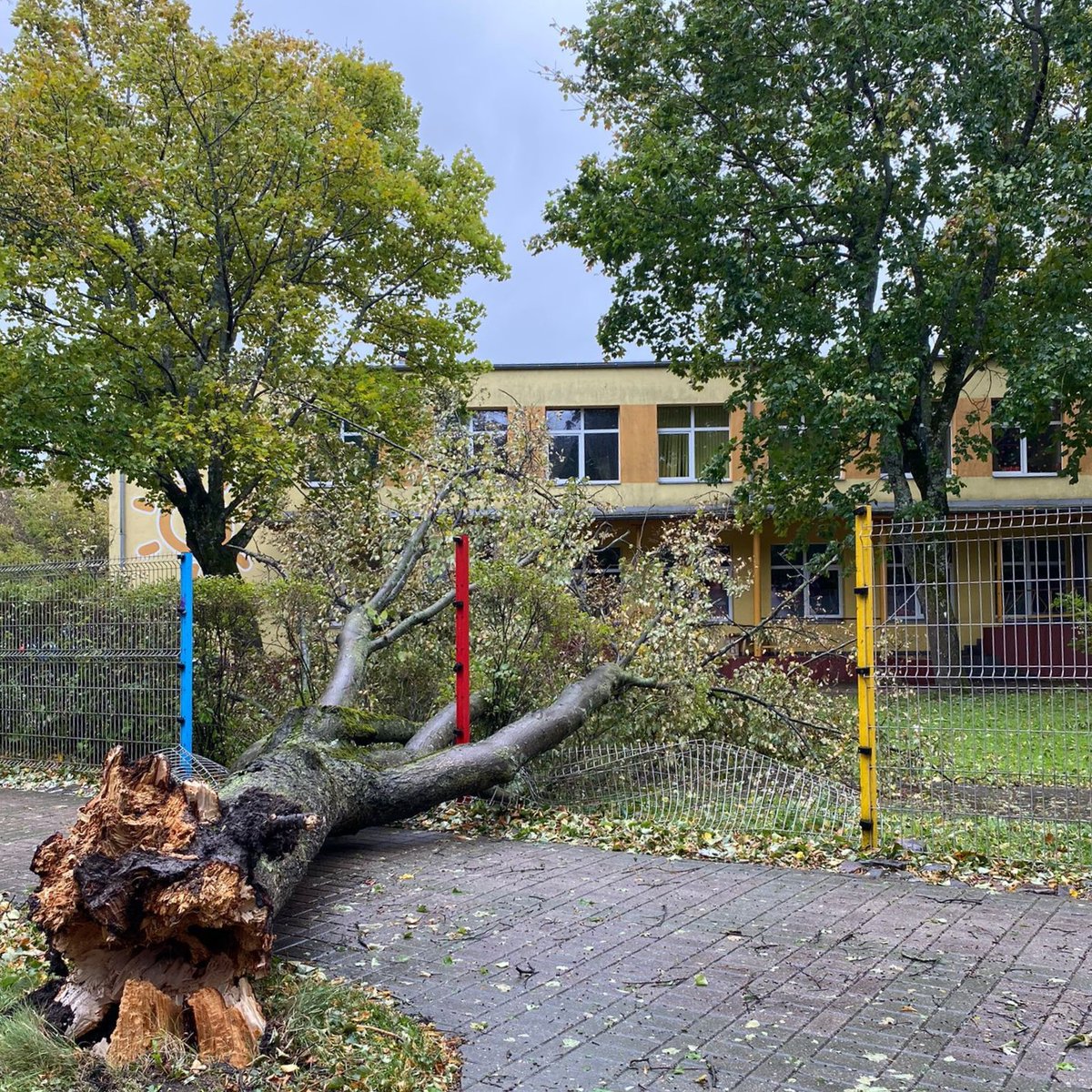 Ventspils Komunālā pārvalde tweet media