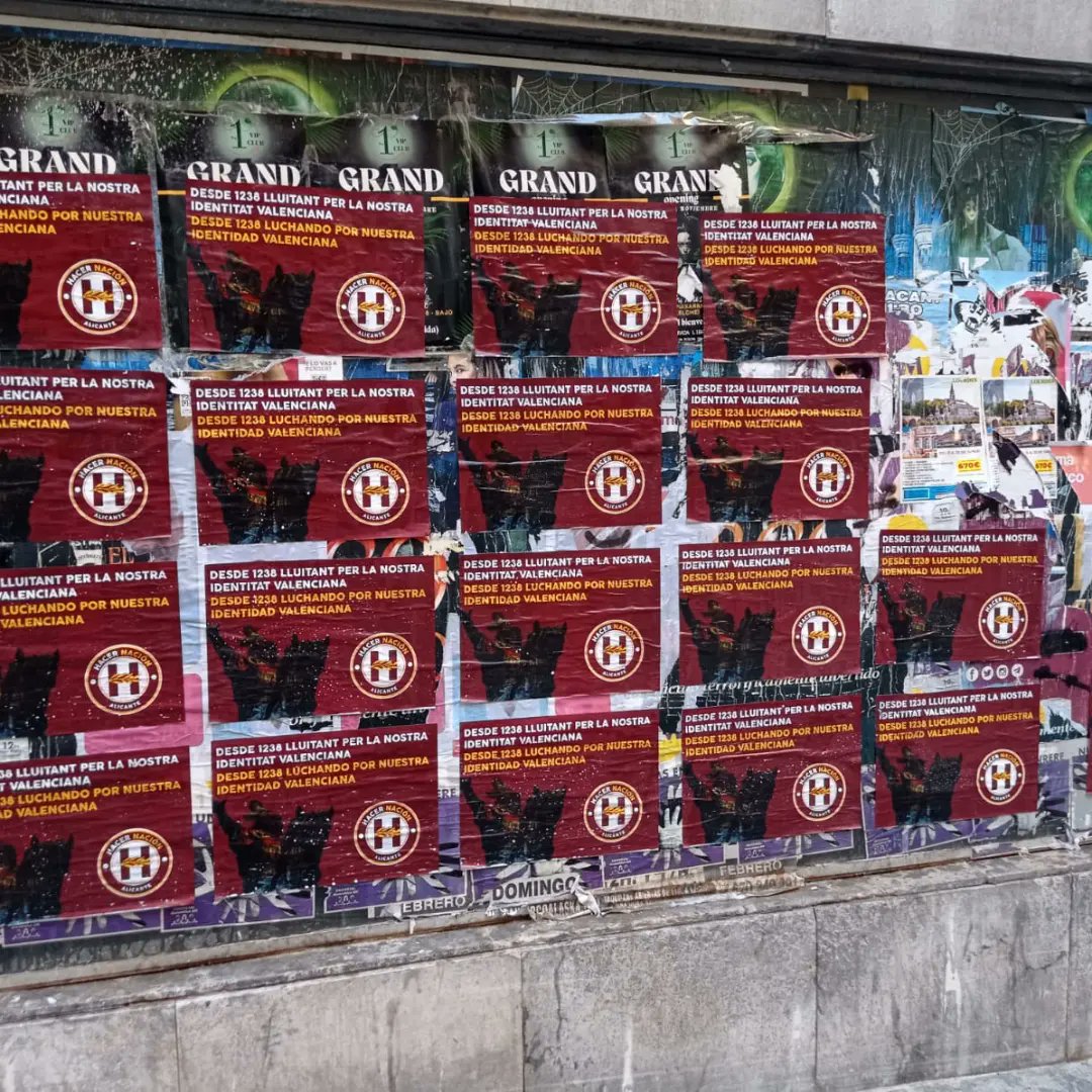 HN_Alicante's tweet photo. Desde #HacerNacion hemos realizado una acción conjunta las tres delegaciones de la comunidad valenciana, una por cada provincia. 

Este 9 de octubre, los valenciamos reclamamamos nuestra identidad histórica y rechazamos la invasión catalanista.

Feliz 9 de octubre, valencianos! https://t.co/Ut5BEEnqFY
