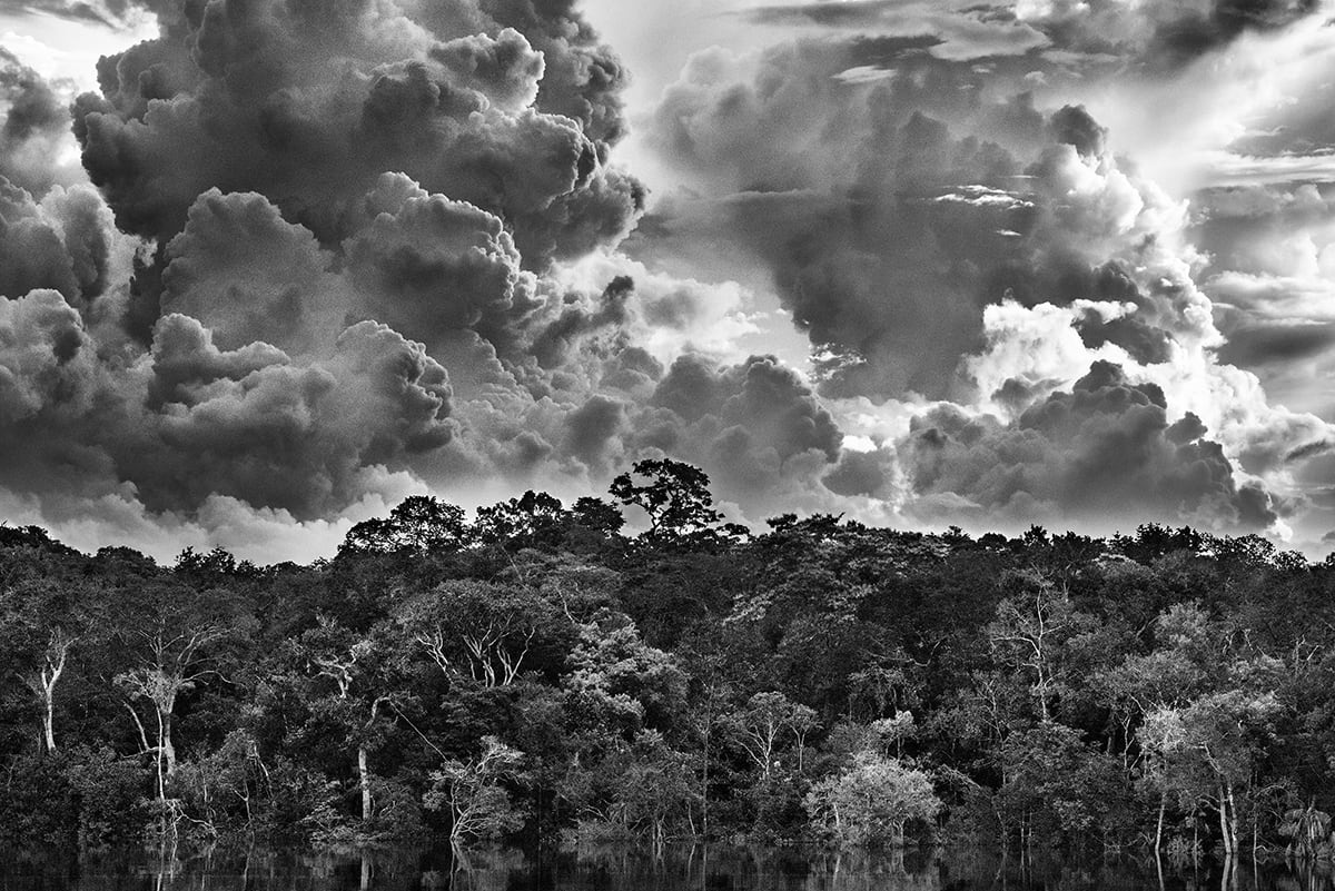 «Amazônia», de Sebastiao Salgado, es la suma de siete años de trabajo en la selva. Una exposición que han visto 1,4 millones de personas en ciudades como Roma, París, Londres, Los Ángeles o Sao Paulo y que llega ahora al @fernangomezCCV de Madrid. 🔗 politicaprosa.com/es/el-ecosiste…