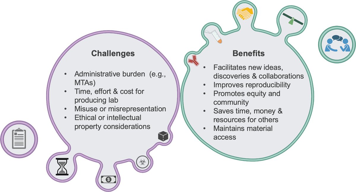 PLOSBiology's tweet image. Could better biomaterial sharing improve the scientific community?

@Lab_Rihn_th &amp;amp; @AHarms485 draw on their experiences of sharing #biomaterials to discuss the advantages, challenges, and ways sharing could be more actively promoted and rewarded.

plos.io/3F9HajT