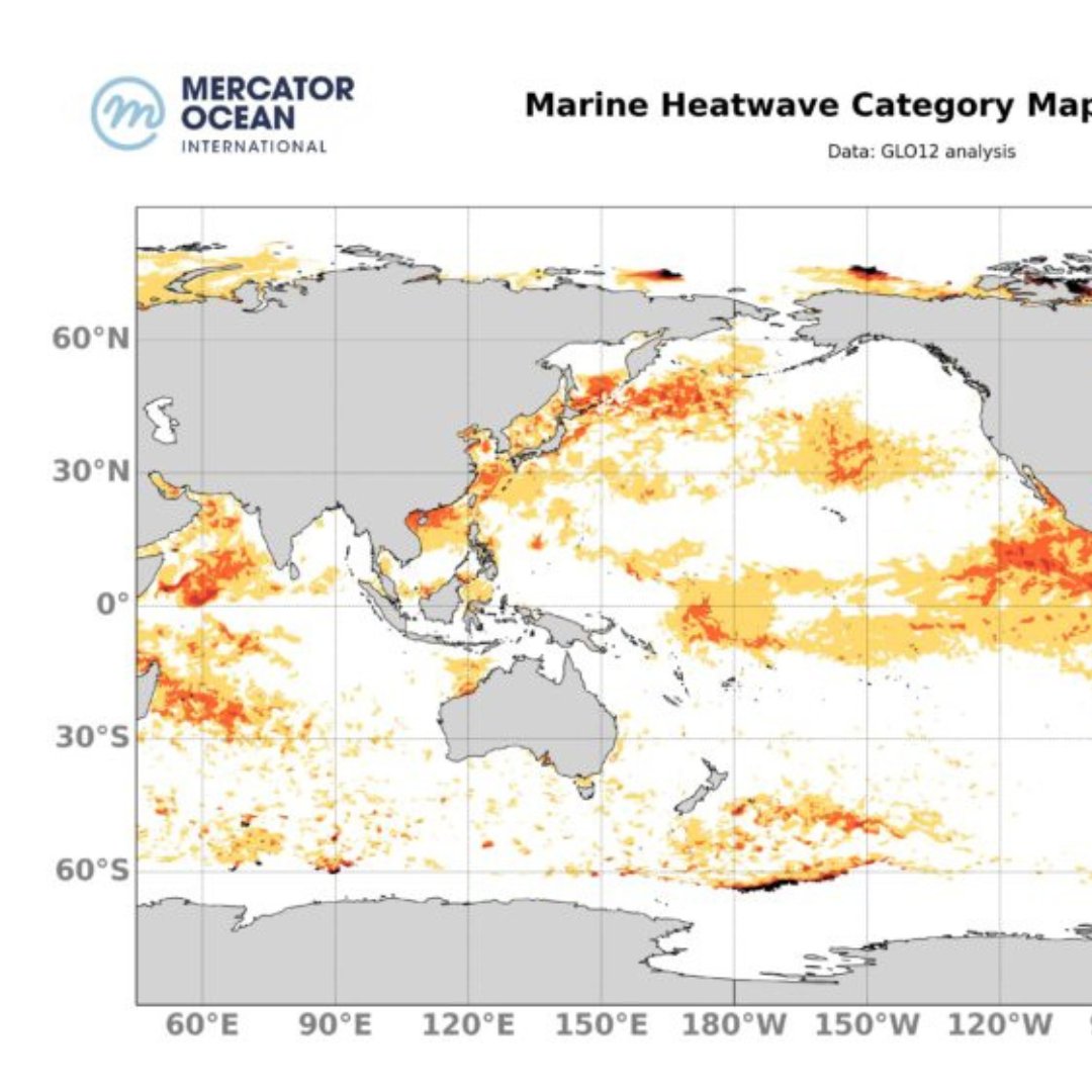 MercatorOcean's tweet photo. Just released: our Weekly Heatwave Bulletin is your window into the world of ocean temperatures. Check it out now 🌊🔍
🔗 https://t.co/J2F9UrGW8q
#OceanScience #Heatwaves #OperationalOceanography https://t.co/L6BYN5J8YB