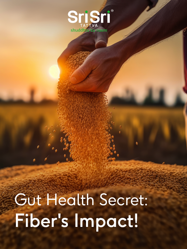 Balance from Within: Scientific studies affirm that a #fiber-rich diet nurtures diverse #gut microbes, aligning with Ayurveda's emphasis on #digestive #health. Incorporating whole grains can harmonize your gut and enhance your overall well-being. #HealthTips #SriSriTattva