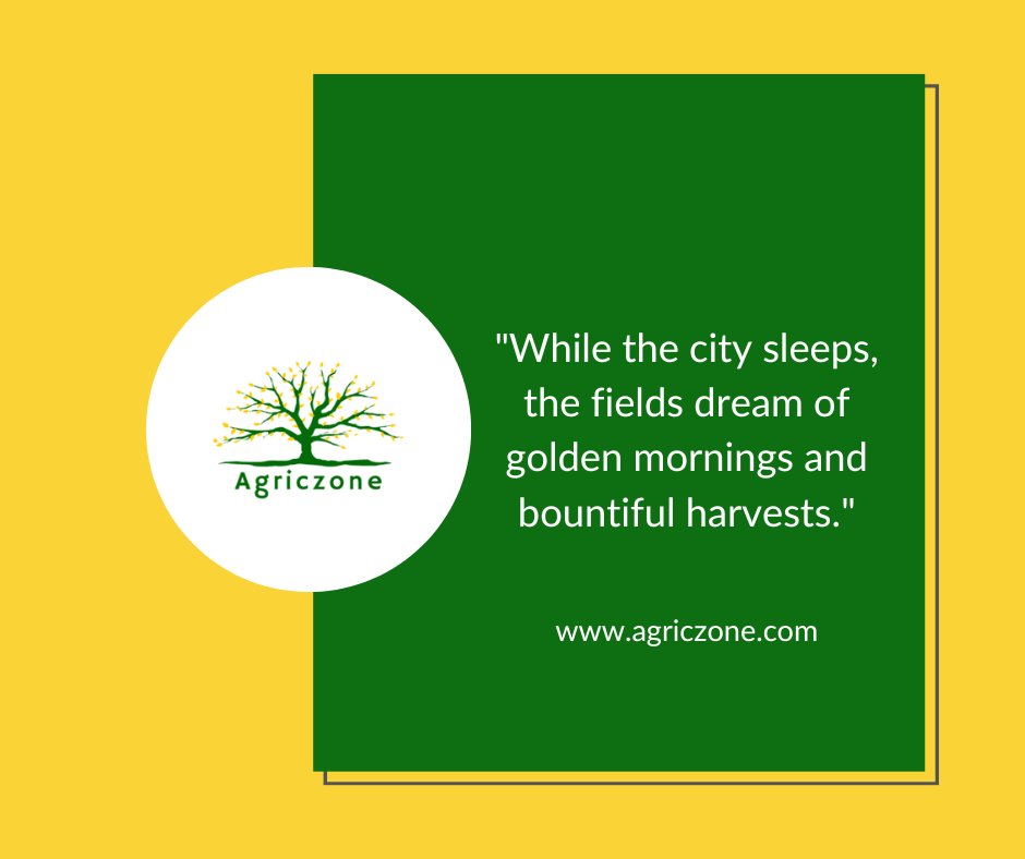 Good morning farmers ☀️🌳🌴🌲. 
Have a blessed week
@Fredmunene_ @AjayiTitilopeB1 @YaraKenya @Nig_Farmer @PitchAgriHack @D4Ag_ @DigitalAgAssoc