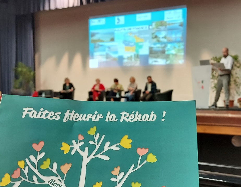 GHTPsy_NPdC tweet media