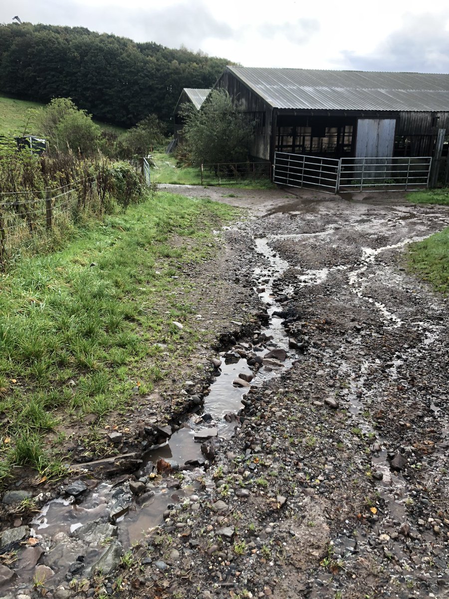argatyredkites's tweet photo. Well, that was a wet weekend! For 2 days our farm track became a river. Thankfully the beavers dammed like crazy, slowed the flow &amp; reduced damage downstream. As climate change intensifies wet winters will become more common &amp; last longer. We’ll need beavers more than ever. https://t.co/pTiXbkD9d5