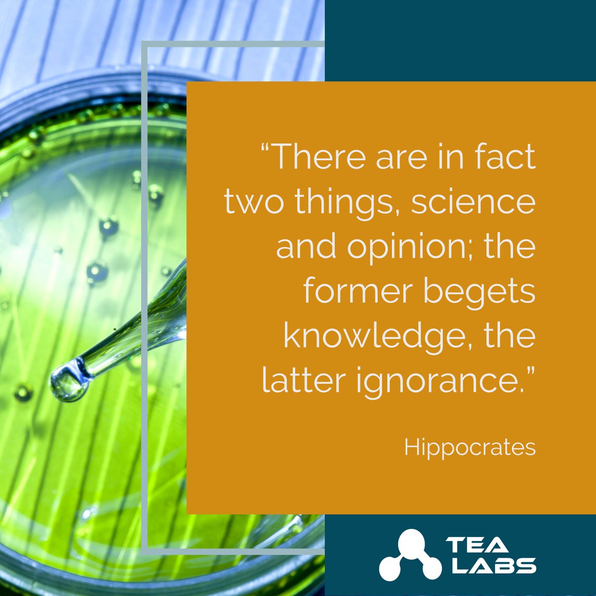 tealabsnam's tweet photo. “There are in fact two things, science and opinion; the former begets knowledge, the latter ignorance.” ~ Hippocrates https://t.co/GzONvvkYcO