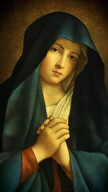 Connie_Gdl's tweet photo. Oremos Juntos 🙌✝️🛐
URGE PAZ EN EL MUNDO!
La Vírgen MARÍA interceda por nosotros!!! 🩵🙏🙏
#OremosPorAfghanistan
#PrayForIsrael
#PrayForPalestine
#PrayForGaza
#PrayForUcrania
#PrayForTheWord 🙏 https://t.co/so52AvNqNI