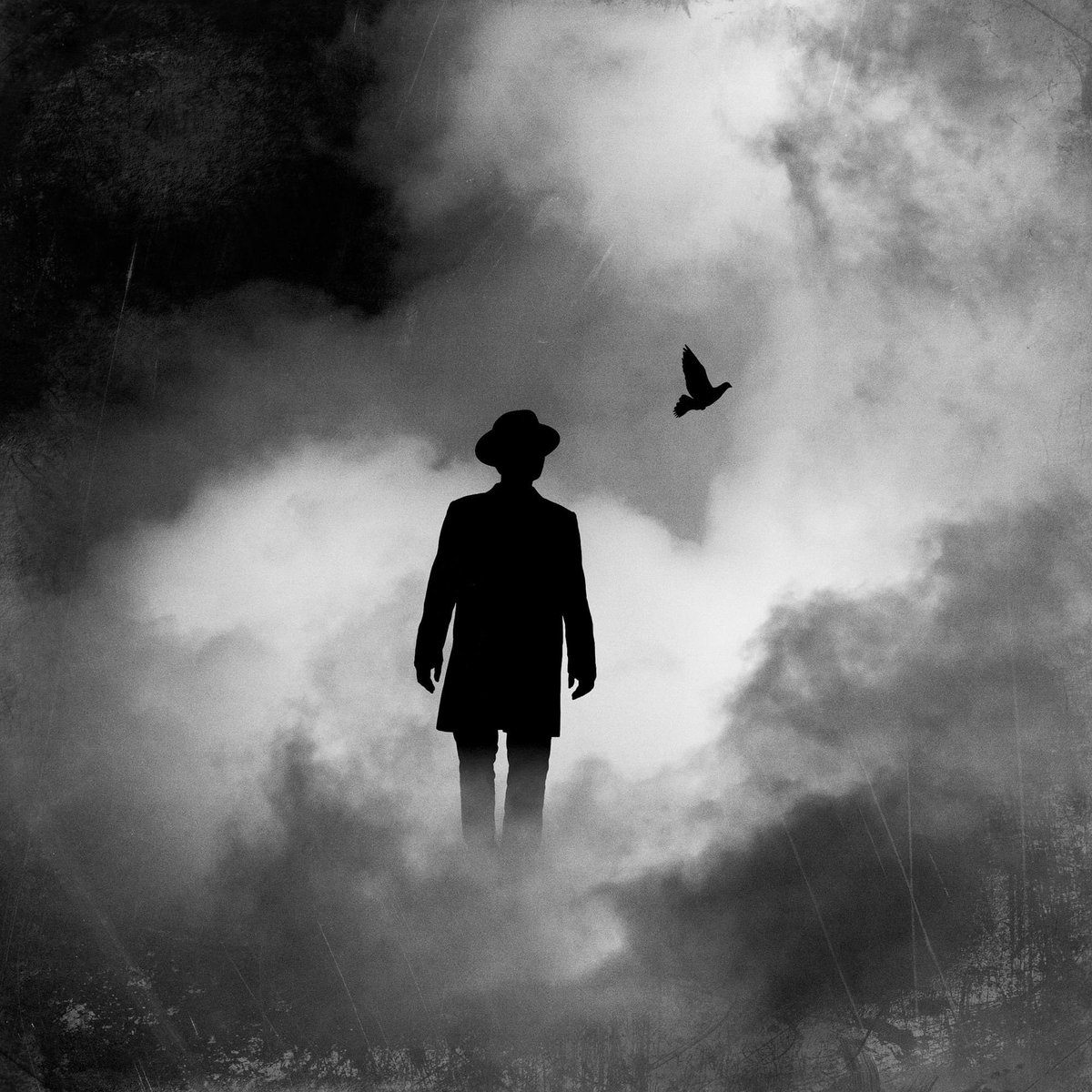 hengkilee's tweet photo. #PhotographyIsArt #photooftheday #photography #fineartphotography #Instagram #fotografia  #blackandwhitephotography #creativePhotography https://t.co/AT3vdQLJVv