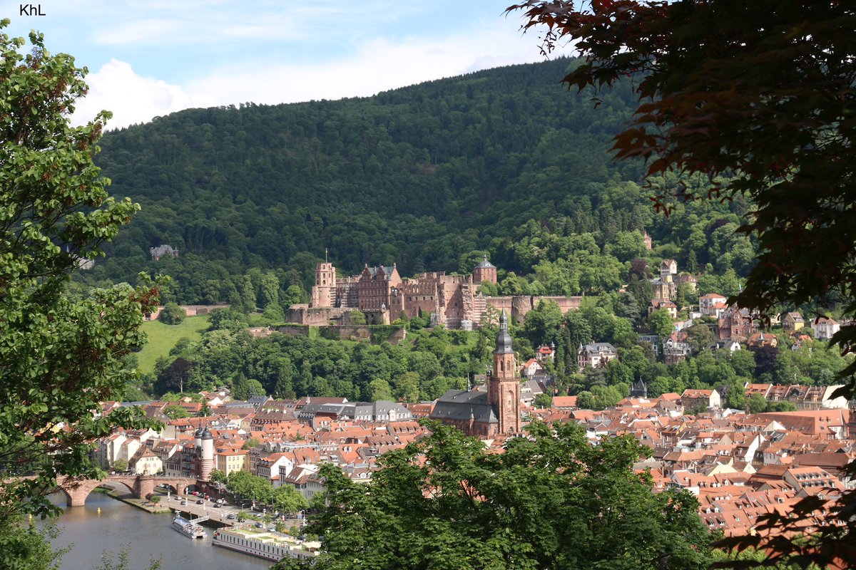 Master 🐿️ tweet media