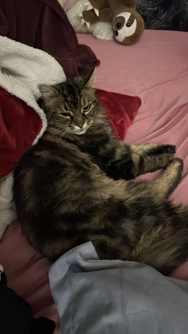 Go Praha! I said goodbye to my cat but I'll come to her tomorrow! 🥰 #praha  @brillbabesxxx https://t<a href="/tag/praha"class="tags"><span>#praha</span></a>