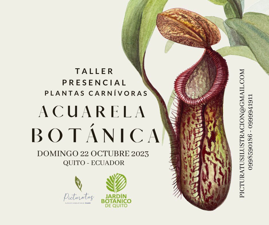 Noemí Cevallos tweet media