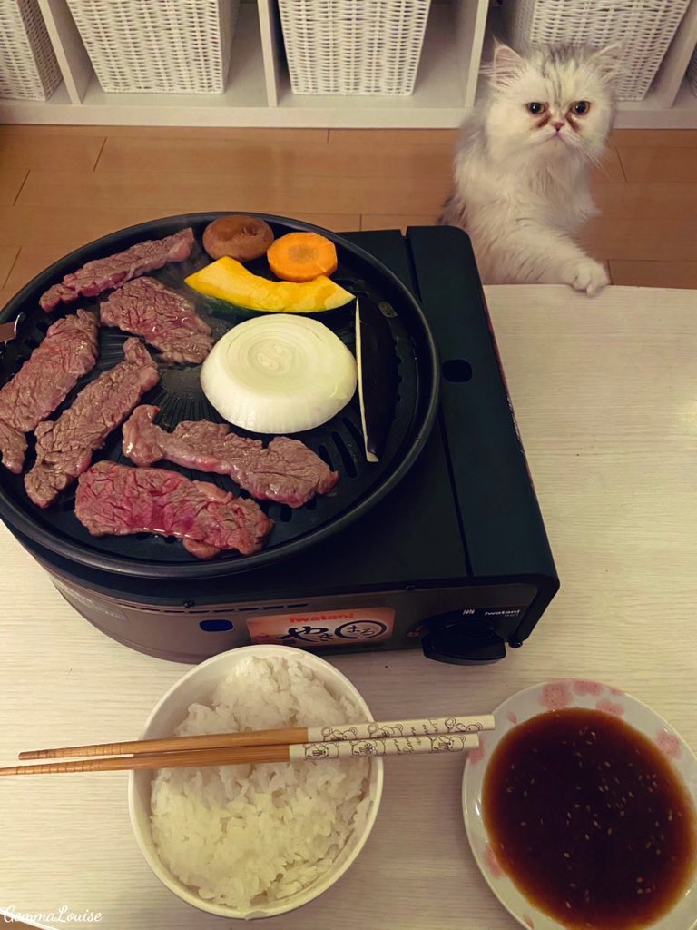 みんなの好きな焼き肉の部位は何かな？

私はカルビとハラミ好きです！ https://t.co/H3xt6Bh6Bc