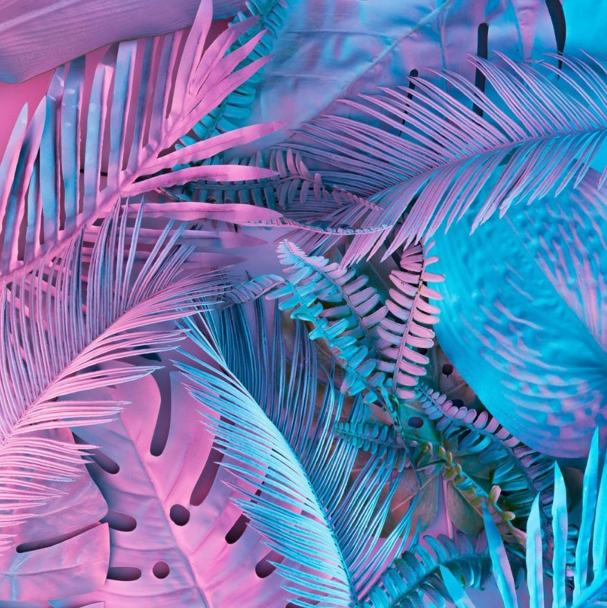 vapejucce's tweet photo. Savour the essence of tropical paradise with our diverse Jucce E-liquids Tropical range! 

From the zesty Blood Orange 🍊 to the mellow Coconut Breeze 🥥, each puff is an instant rendezvous with the exotic.

#JucceEliquid #TropicalRange #VapeFlavours #VapeLife https://t.co/JFWda7ntCP