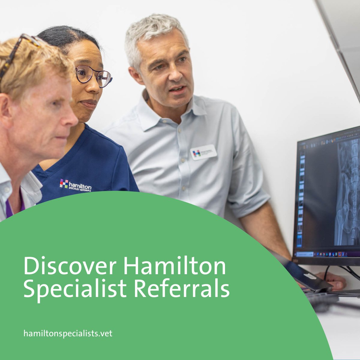 Hamilton Specialist Referrals is dedicated to providing clinical excellence in a caring and friendly environment. Based in High Wycombe, the team provide a multidisciplinary referral service. Discover more ➡️ hamiltonspecialists.vet #IVCEvidensiaReferrals